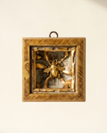 Treasure Chest Gilt Bee