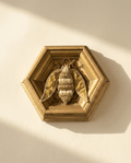 Decorative wall art with a framed insect on a beige background