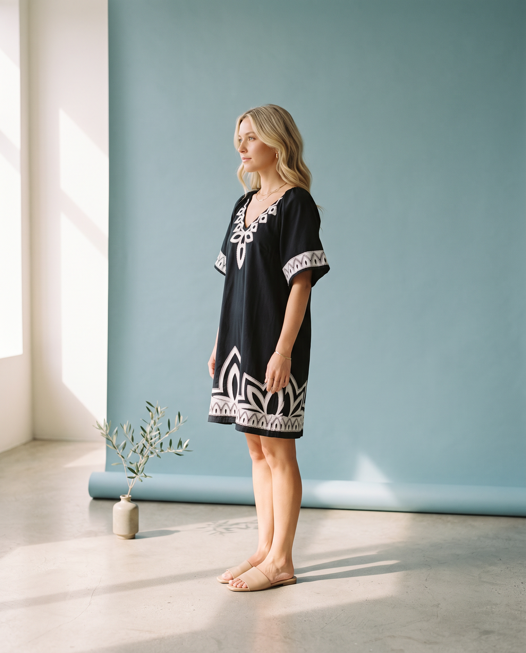 Blackbird Embroidered Dress