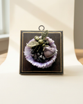 Purple Persuasion Bee